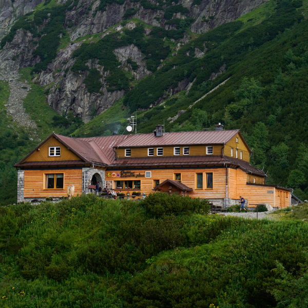 Mountain cabin among trees